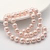 Shell Pearl Beads Strands SP10MM505-2