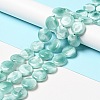 Natural Glass Beads Strands G-I247-28B-2