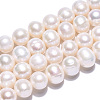 Natural Cultured Freshwater Pearl Beads Strands PEAR-N013-10E-3