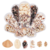   6 Styles Natural Shell Beads Display Ornaments SHEL-PH0001-46-1