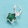 925 Sterling Silver Charms STER-G035-01C-02-2