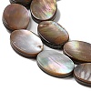 Natural Sea Shell Beads Strands SHEL-K006-33-3