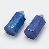 Natural Lapis Lazuli Pointed Beads G-G760-K01-2