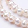 Natural Cultured Freshwater Pearl Beads Strands PEAR-F004-18-3