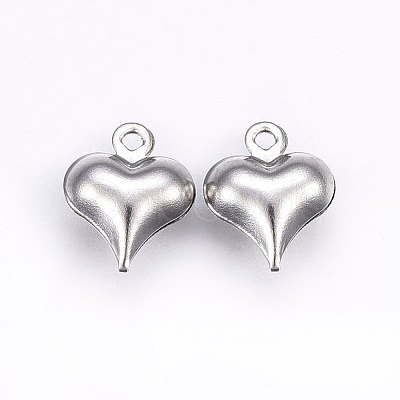 304 Stainless Steel Charms STAS-E438-24P-1