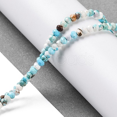 Natural Howlite Beads Strands G-H025-03B-05-1