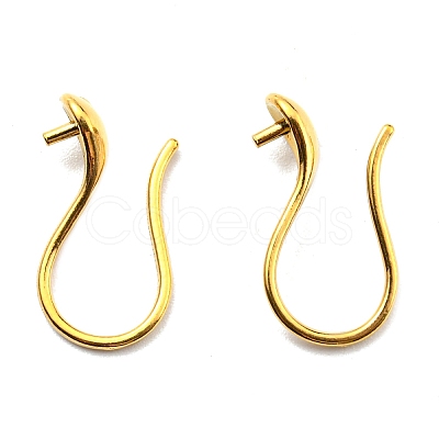 316 Surgical Stainless Steel Earring Hooks STAS-G310-02G-1