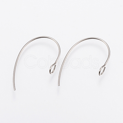 Tarnish Resistant 304 Stainless Steel Earring Hooks STAS-F148-05P-1