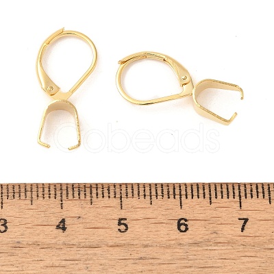 304 Stainless Steel Leverback Earring Findings STAS-U025-01G-02-1