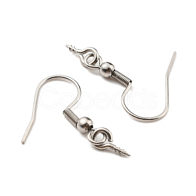 Tarnish Resistant 304 Stainless Steel Earring Hooks STAS-G310-24P-1