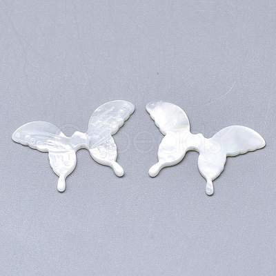 Natural White Shell Mother of Pearl Shell Beads SSHEL-N036-055-1