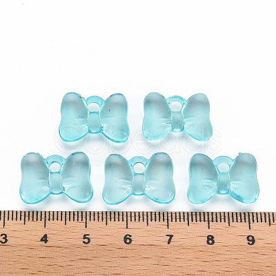 Transparent Acrylic Pendants TACR-T024-02BA-946-1