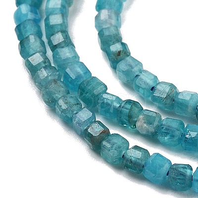 Natural Blue Apatit Beads Strands G-H042-B12-01B-1