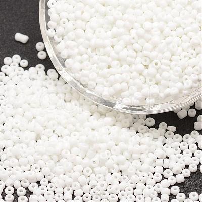 8/0 Glass Seed Beads X-SEED-J014-F8-41-1