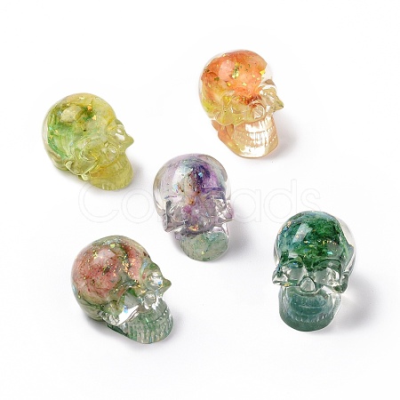 Natural Fluorite Skull Beads G-P490-02-1