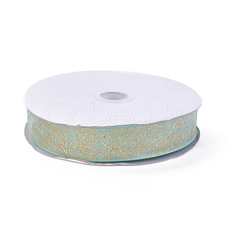 Nylon Organza Ribbon SRIB-I004-03G-1