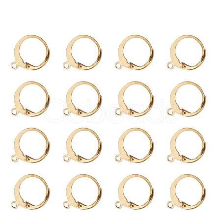 304 Stainless Steel Leverback Earring Findings A-STAS-G081-62G-1