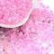 Glass Seed Beads, Inside Colours, Bicone, Pearl Pink, 4.5x3.5mm, Hole: 1.4mm, about 5625pcs/pound