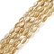 Natural Trochus Shell Beads Strands, Rice, Dark Goldenrod, 12x6mm, Hole: 0.5mm, about 33pcs/strand, 15.16 inch(38.5cm)