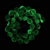 Natural Fluorite Beads Strands G-I308-05A-01-4