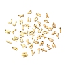 Ion Plating(IP) 304 Stainless Steel Charms STAS-C074-01G-1