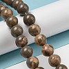Natural Map Stone/Picasso Stone Beads Strands G-R494-A24-04-4