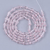 Transparent Glass Beads Strands GLAA-T009-004G-2