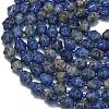 Natural Sodalite Beads Strands G-K389-D10-01-3