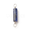 Natural Sodalite Connector Charms PALLOY-JF01574-01-3