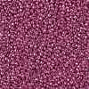 TOHO Round Seed Beads SEED-XTR11-PF0563-2