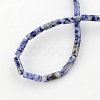 Natural Blue Spot Gemstone Beads Strands X-G-R181-16-2