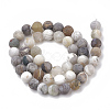 Natural Bamboo Leaf Agate Beads Strands X-G-T106-028-3
