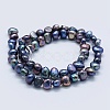 Natural Cultured Freshwater Pearl Beads Strands PEAR-K004-13A-2