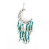 Iron Cord Woven Web/Net with Feather Pendant Decorations AJEW-B017-31-2