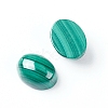 Natural Malachite Cabochons G-E557-03B-1