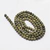 Natural Serpentine Beads Strands G-N0183-02-2mm-2