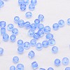 8/0 Glass Seed Beads SEED-J013-F8-06-3