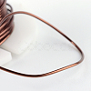 Round Copper Jewelry Wire CWIR-R004-0.5mm-06-3