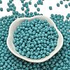 Opaque Colours Glass Seed Beads SEED-C001-02B-16-2