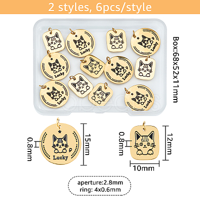 DICOSMETIC 12Pcs 2 Style 316 Surgical Stainless Steel Charms STAS-DC0011-43-1