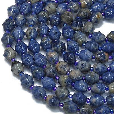 Natural Sodalite Beads Strands G-K389-D10-01-1