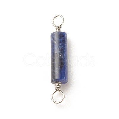 Natural Sodalite Connector Charms PALLOY-JF01574-01-1