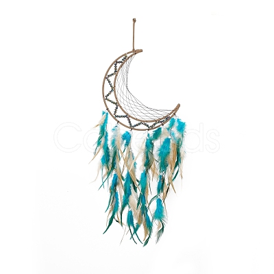 Iron Cord Woven Web/Net with Feather Pendant Decorations AJEW-B017-31-1