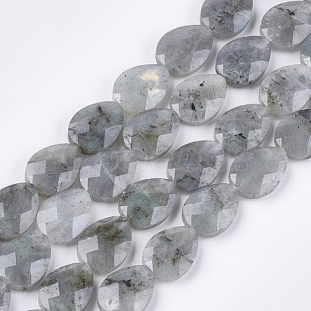 Natural Labradorite Beads Strands X-G-S354-07-1