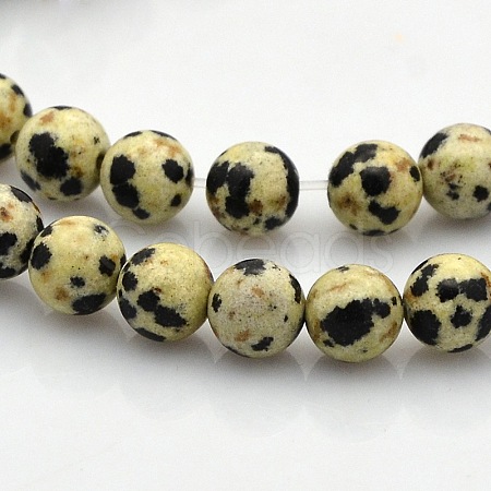 Round Natural Dalmatian Jasper Beads Strands G-N0120-23-6mm-1
