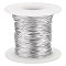 Custom Round Aluminum Wire, Platinum, 20 Gauge, 0.8mm, about 262.47 Feet(80m)/Roll