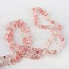 Cherry Quartz Glass Beads Strands G-R192-12-3
