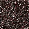 6/0 Transparent Colours Glass Seed Beads SEED-P006-01A-02-3