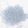 6/0 Transparent Glass Round Seed Beads SEED-J010-F6-32-2