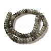 Natural Labradorite Beads Strands G-G102-C06-01-3